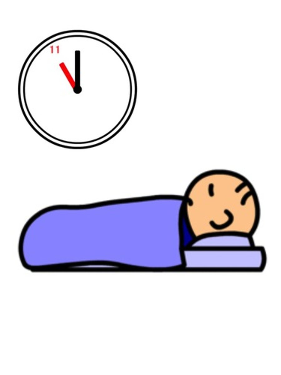 <p>to sleep</p>