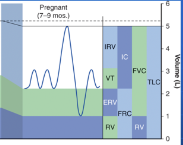 <p>What are the most significant changes in the lung volumes in pregnancy?</p>
