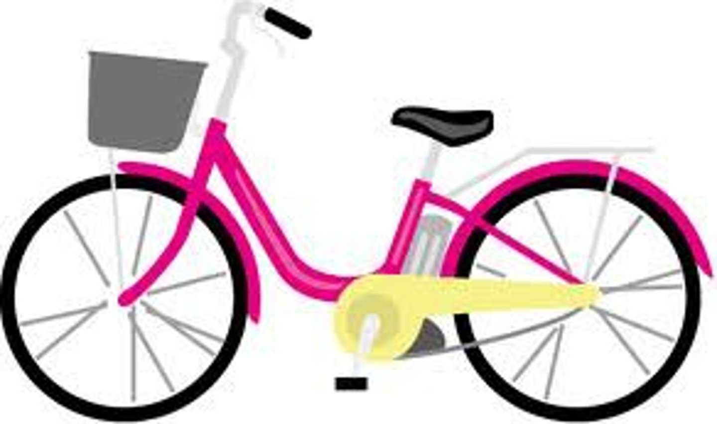 <p>bicycle</p>