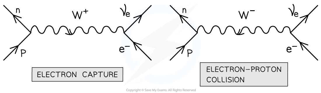 <p>Electrons and protons are attracted by the electromagnetic interaction, when interacting it is the weak interaction that facilitates the collision</p><p>Both electron capture and electron-proton collisions have the same decay equation:</p><p>p + e<sup>-</sup>→ n + ν<sub>e</sub></p>
