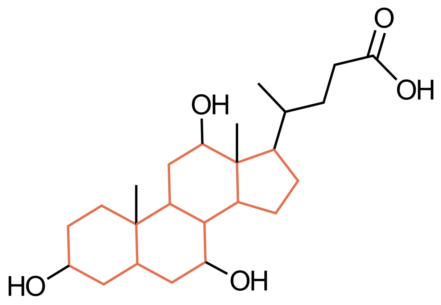 <p>C. Cholic acid</p>