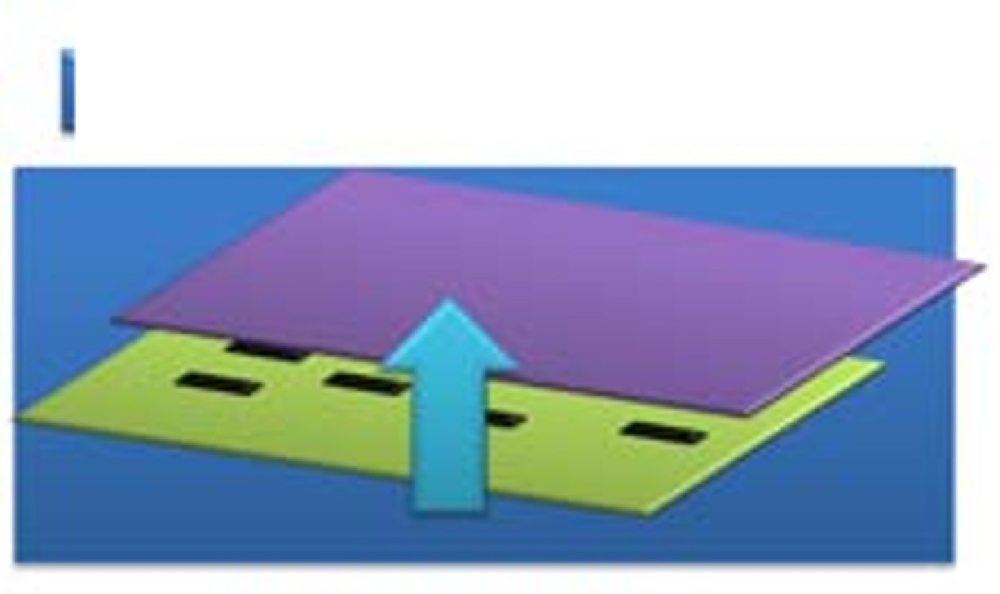 <p>Technique that transfers DNA fragments from agarose gel to a nylon membrane after electrophoresis</p>