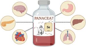 <p>Panacea</p>