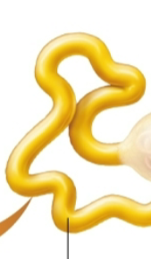 <p>what is this?</p>