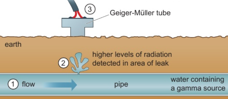<p>radioactive isotopes used as tracers</p><p>e.g. gamma source added to water - detects leaks in water pipes underground</p><p>at leak water flows into surrounding earth</p><p>GM tube follows path of pipe - detects more radiation at leak</p>