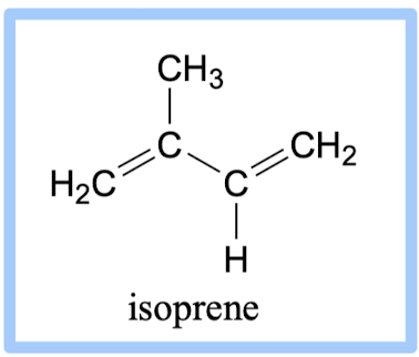 <p>Isoprenoids; isoprene</p>