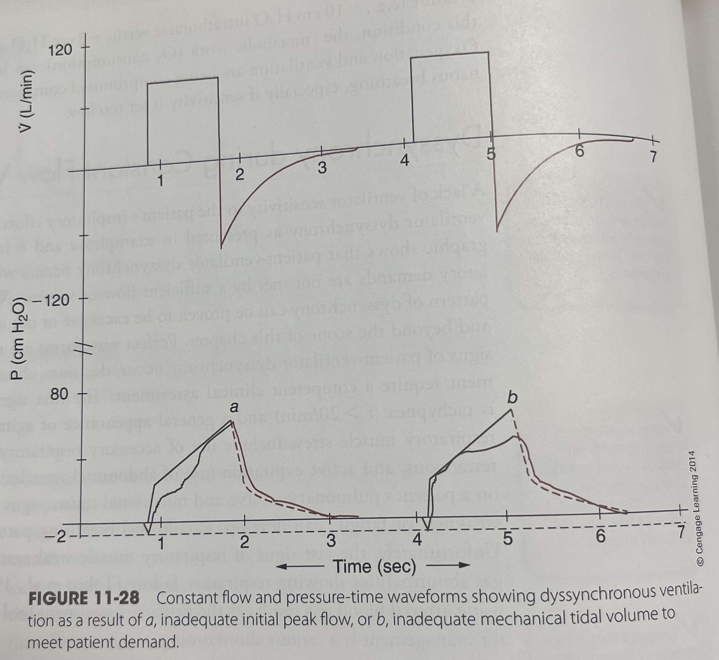 <p>What is this waveforms?</p>