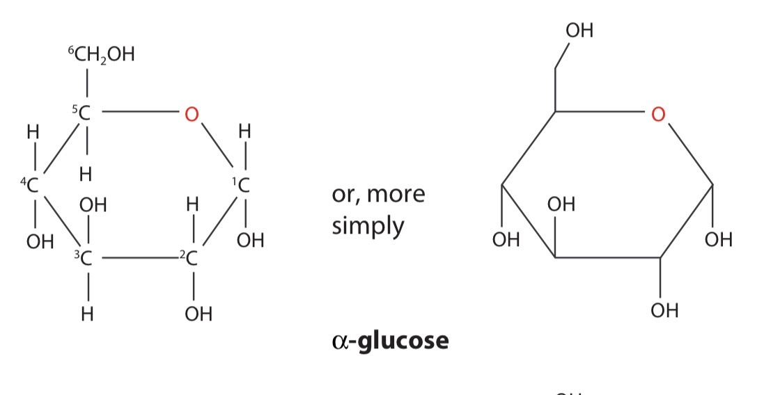 <p>The form of glucose where the hydroxyl group, -OH, on carbon atom 1 is below the ring is known as α-glucose (alpha-glucose)</p>