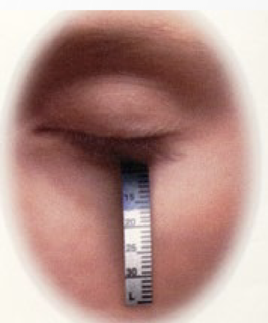 <p></p>