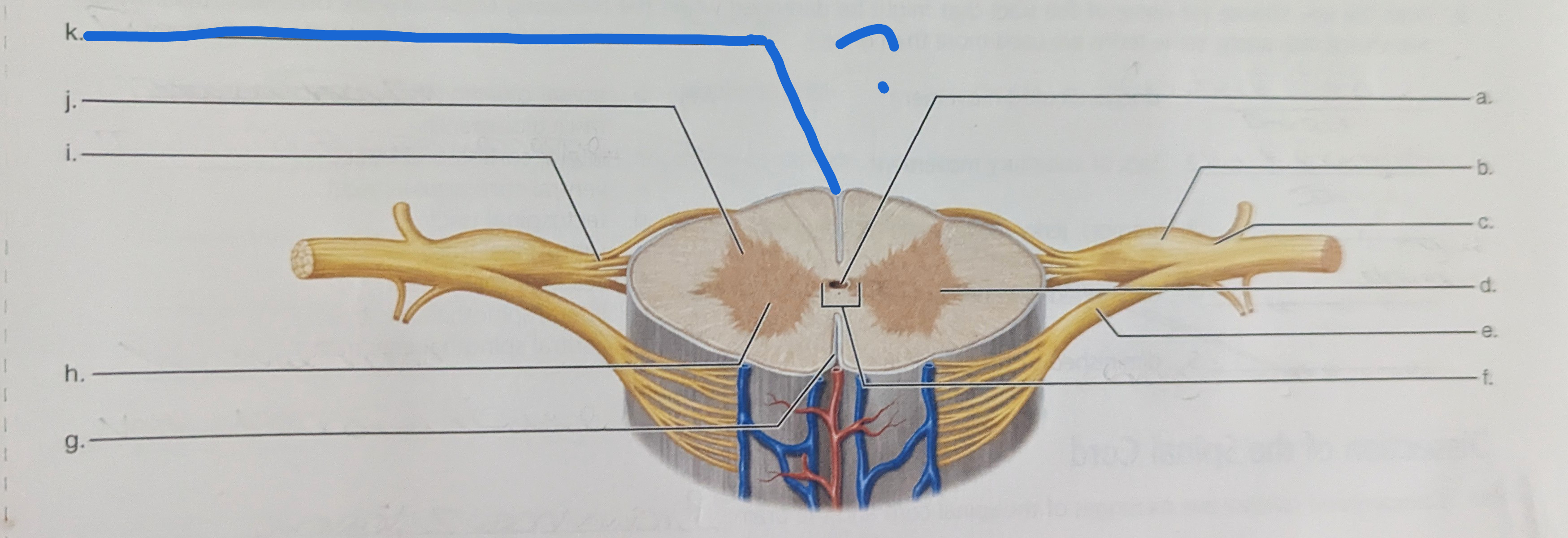 <p>What is the name of this?</p>