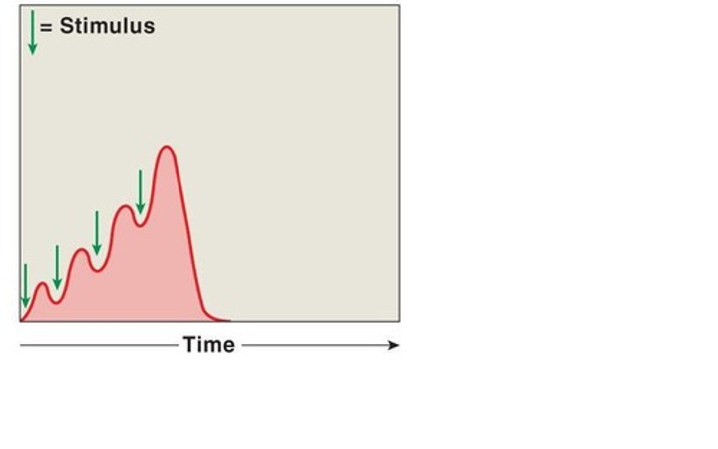 <p>One stimulus immediately follows the next; stimulus continually gets hit. Muscles doesn't quite return to resting state.</p>