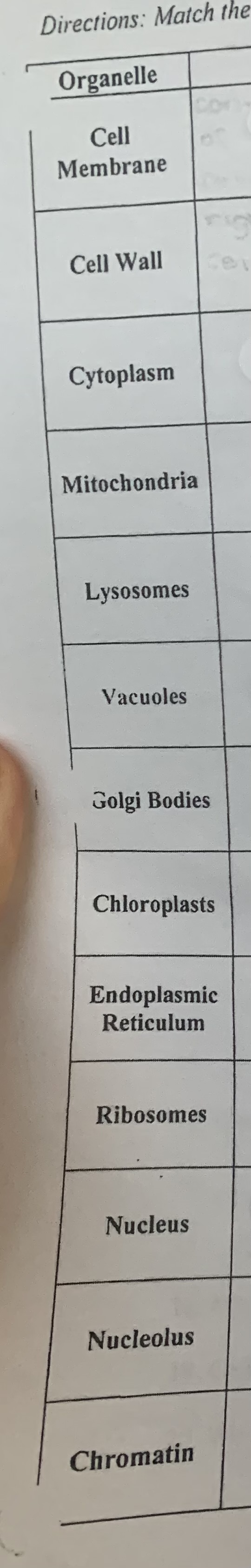 <p><strong>SHORT ANSWER</strong><br>know your cell organelles and their functions</p>
