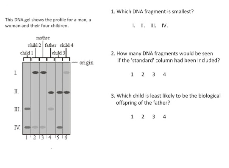 <p>You should be able to answer DNA profiling questions</p>