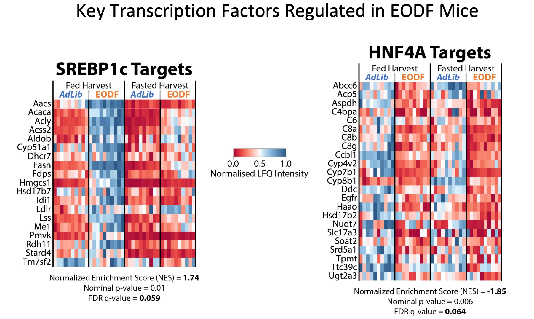 <p>SREBP1c and HNF4α are TFs, and their targets are strongly regulated by intermittent fasting.</p><ul><li><p>SREBP1c plays an important role in fat metabolism and FA synthesis (metabolic)</p></li><li><p>HNF4α regulates a wider array of genes (is downregulated in EODF) - plays a role in specifying the liver differentiation and pancreas differentiation (development)</p><ul><li><p>EOFT alters HNF4α binding to SERPINA1E gene</p></li></ul></li></ul><p></p>