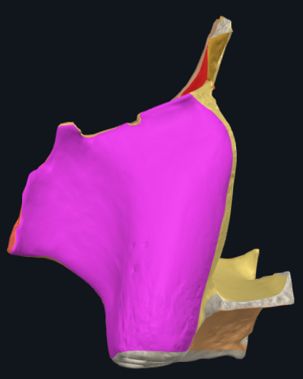 term image