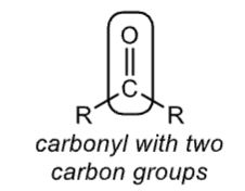 <p>carbonyl with two carbon groups </p>