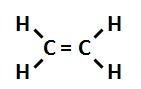 <p>double bonds</p>