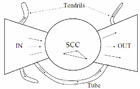 <ul><li><p>used to represent how websites are connected</p></li></ul><p>directed graph (web graph):</p><ol><li><p>core (SCC): central, most densely connected part of the web, small number of highly interconnected pages (ex. reddit, google, facebook)</p></li><li><p>In components: pages that have links to the core, none from the core (ex. a blog linking google)</p></li><li><p>out components: pages the core links out to (ex. news site linked on reddit)</p></li><li><p>Tendrils: connect to the in and out groups but not directly to the core (ex. small blog linking a news site, but no big sites link back to it)</p></li><li><p>Tubes: pages that link the in and out section, like a shortcut (ex. blog linking booking site and is also linked from other blogs)</p></li></ol><p>Diameter: longest shortest path between 2 pages, worst case scenario how many links it takes</p><p></p>