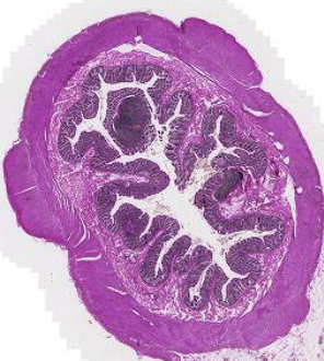 <p>What is this?</p>