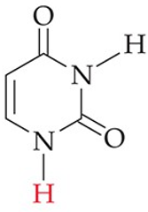 <p>recognize this structure</p>