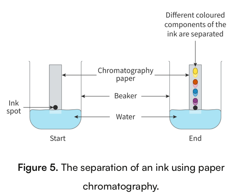 <p>another type of separation technique used to separate mixtures that contain very small amounts of each component, or to determine how pure a substance is </p><ul><li><p>set ups contain 2 phases</p><ul><li><p>Mobile phase- moves&nbsp;</p></li><li><p>Stationary phase- stays in place</p></li></ul></li><li><p>Works due to components of a mixture having different tendencies to either absorb onion a stationary surface or dissolve into a mobile solvent&nbsp;</p></li><li><p>2 types: paper chromatography and thin-layer chromatography (TLC)</p></li></ul><p></p>