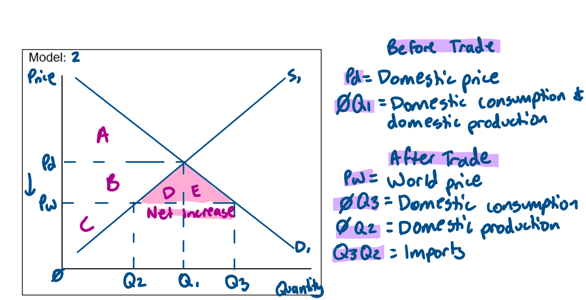 <p><strong><em>Imports </em></strong><em>are the purchase of foreign goods &amp; services produced overseas, for example PMVs, technology &amp; telecommunications equipment.</em><br>Imports refer to the purchase of foreign goods &amp; services produced overseas for example PMVs.<br>As seen in model 2, before trade equilibrium price if Pd (domestic price) &amp; equilibrium quantity is Q1.<br>Domestic production &amp; consumption is at Q1.<br>Through trade, consumers can access a wider variety of products at cheaper prices therefore prices decrease from Pd to Pw (world price).<br>Domestic consumption increases from Q1 to Q3 &amp; domestic production decreases from Q1 to Q2.<br>There is now a shortage which is cleared through importing from overseas (Q3-Q2).<br>Producer surplus decreases from BC to C &amp; consumer surplus increases from A to ABDE.<br>The net gain in total surplus is DE increasing total surplus from ABC to ABCDE.<br>Since the gain in consumer surplus is greater than the loss in producer surplus the Australian economy gains &amp; economic welfare increases.</p>