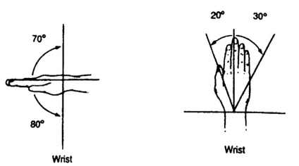 <ul><li><p><span style="font-family: Calibri, sans-serif">Flexion (80</span><span><sup>0</sup></span><span style="font-family: Calibri, sans-serif">)</span></p></li><li><p><span style="font-family: Calibri, sans-serif">Extension (70</span><span><sup>0</sup></span><span style="font-family: Calibri, sans-serif">)</span></p></li><li><p><span style="font-family: Calibri, sans-serif">Radial deviation (20</span><span><sup>0</sup></span><span style="font-family: Calibri, sans-serif">)</span></p></li><li><p><span style="font-family: Calibri, sans-serif">Ulnar deviation (30</span><span><sup>0</sup></span><span style="font-family: Calibri, sans-serif">)</span></p></li></ul><p></p>