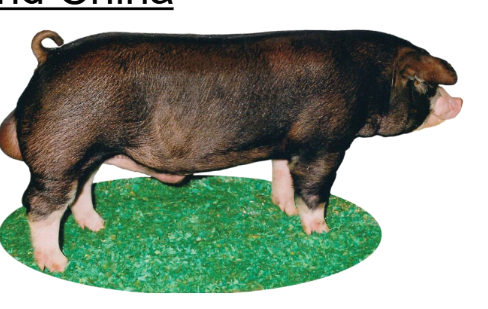 <p>Miami, Butler, and Warren Counties in Ohio (1816)</p>