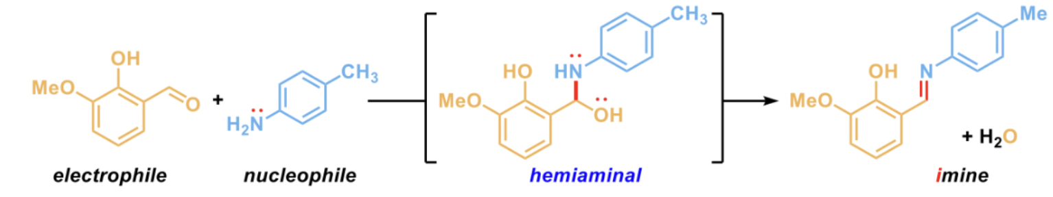 <p><span>Combine the amine with an electrophilic C=O to form an unstable hemianimal, which collapses to form an imine </span></p>