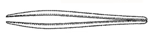 <p>What are these?</p>