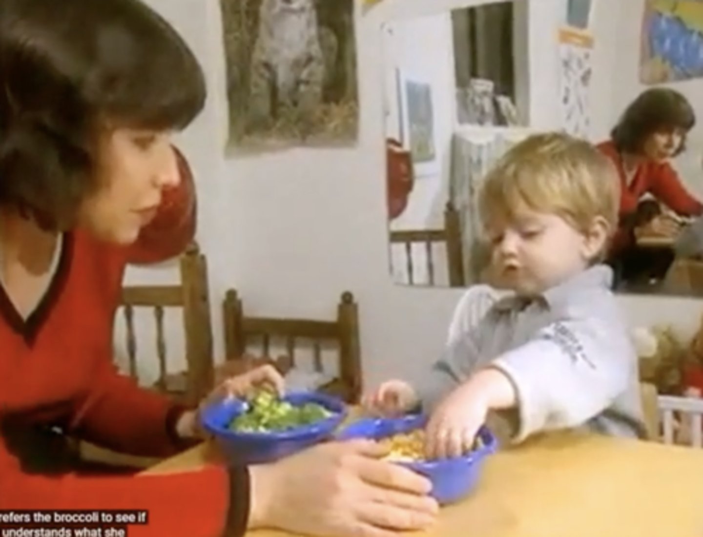 <p>18 month olds but not 14 month old understood that the experimenters desires were different to theirs (broccoli preference over crackers) "can you give me what i like" </p>