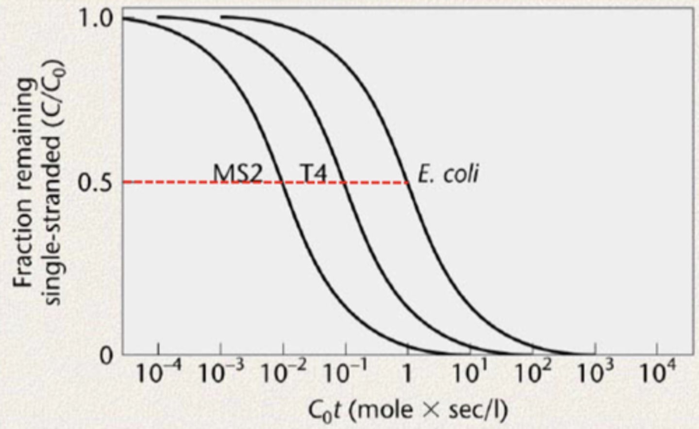 <p>genome size</p><p>-so-called cot curves</p>