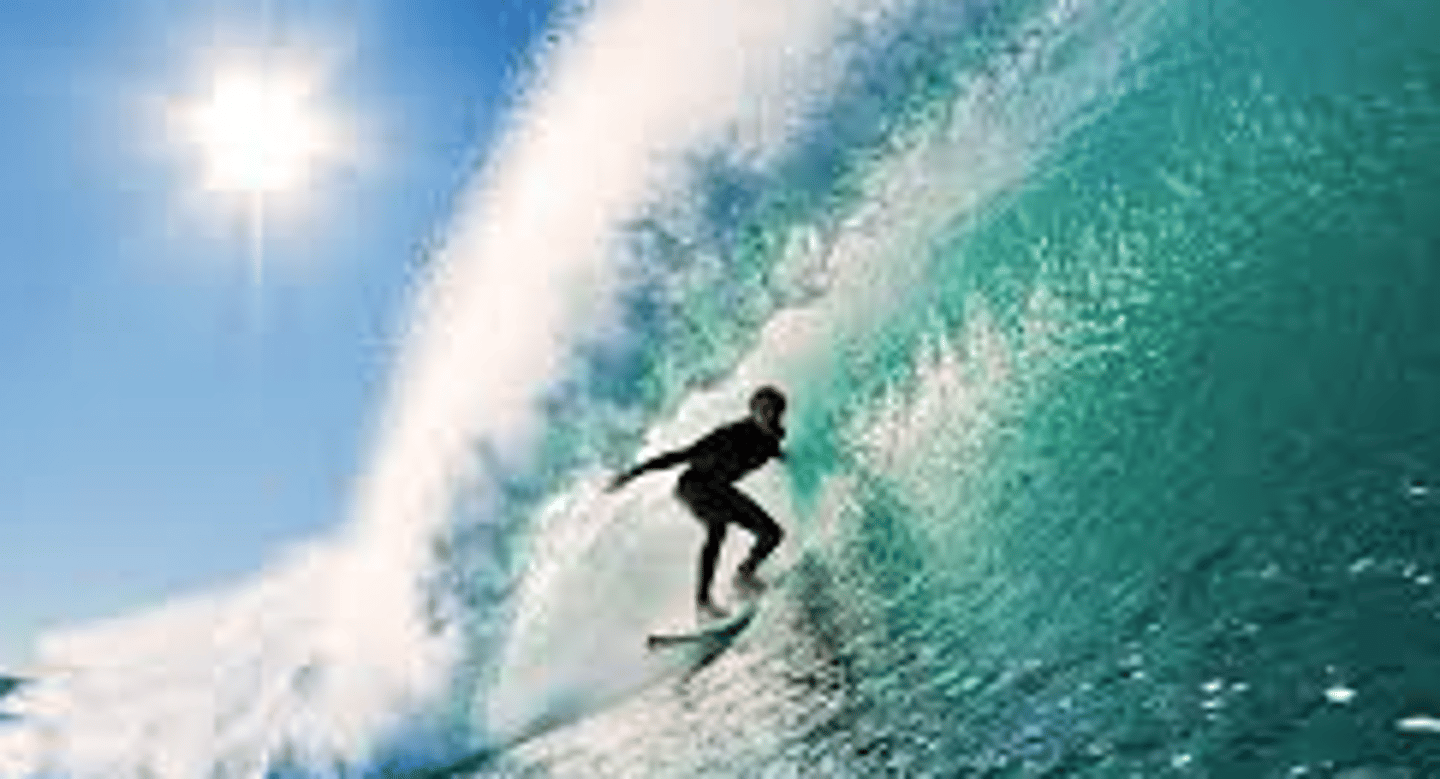<p>to surf</p>