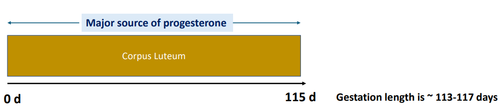 <p>ONLY after 110 days of gestation</p><p></p><p>Dinoprost (Natural PGF2α): 10 mg IM OR Cloprostenol (Synthetic PGF2α): 175 μg IM - Farrowing within 20-36 h</p><p></p>