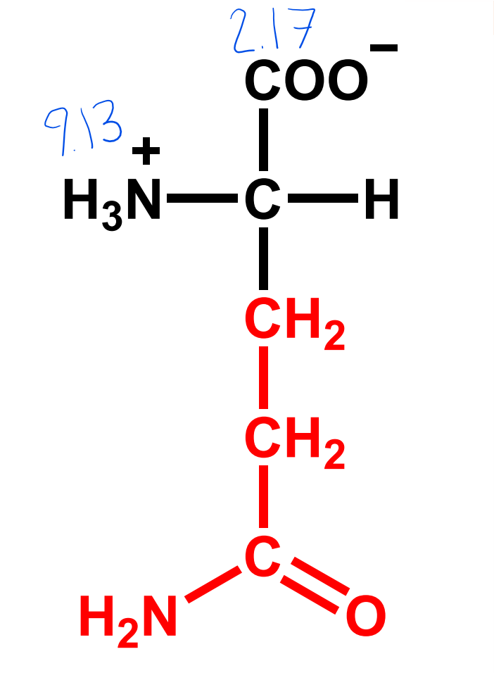 knowt flashcard image