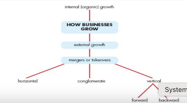 <p>Explain different ways in which businesses can grow, e.g. internal/external</p>