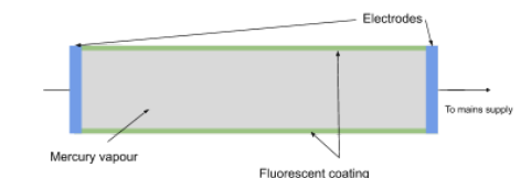 <p>This voltage accelerates free electrons through the tube, which collide with the mercury atoms causing them to become ionised, releasing more free electrons. The free electrons collide with the mercury atoms, causing them to become excited. When they de-excite they release photons, most of which are in the UV range. The (phosphorous) fluorescent coating on the inside of the tube, absorbs these UV photons and therefore electrons in the atoms of the coating become excited and de-excite releasing photons of visible light</p>