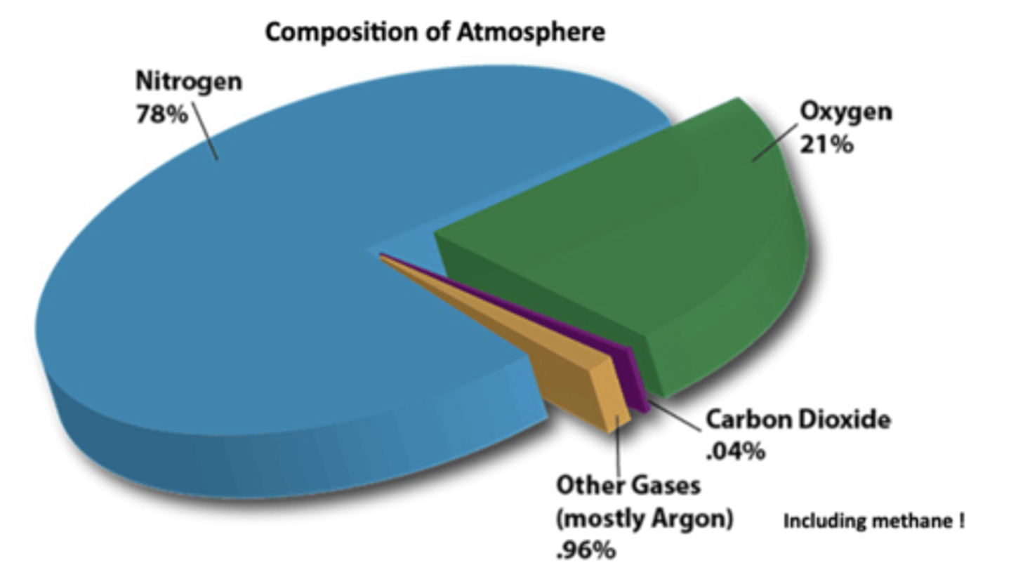 <p>Nitrogen, oxygen, and CO2</p>
