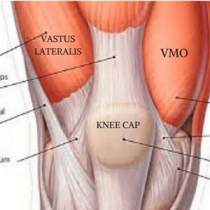 <p>thumb side of the leg</p>