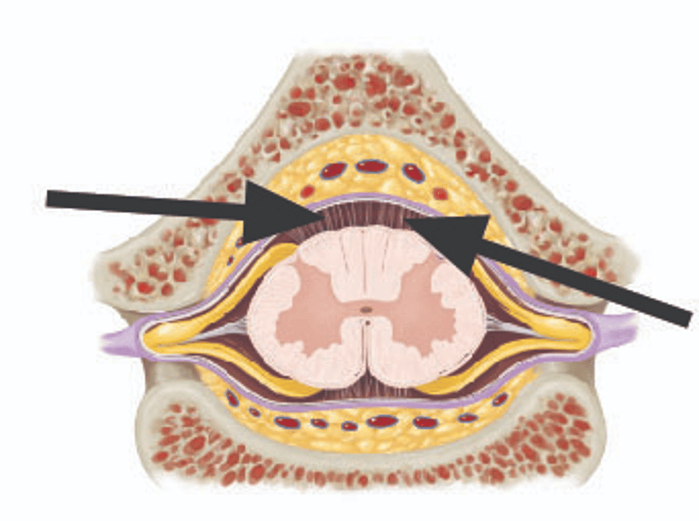 <p>Identify structure.</p>