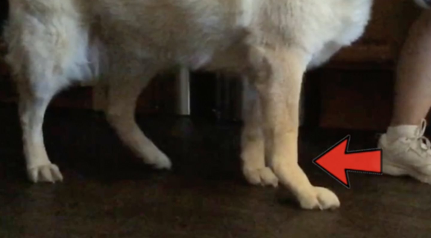 <p>what is this called?</p>