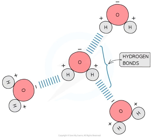 * Hydrogen bonds form between the +ve and -ve Q regions of molecules as a result of the polar nature of water
* Hydrogen bonds are weak when few in number so constantly breaking and reforming
* Molecules flow past each other in a liquid state