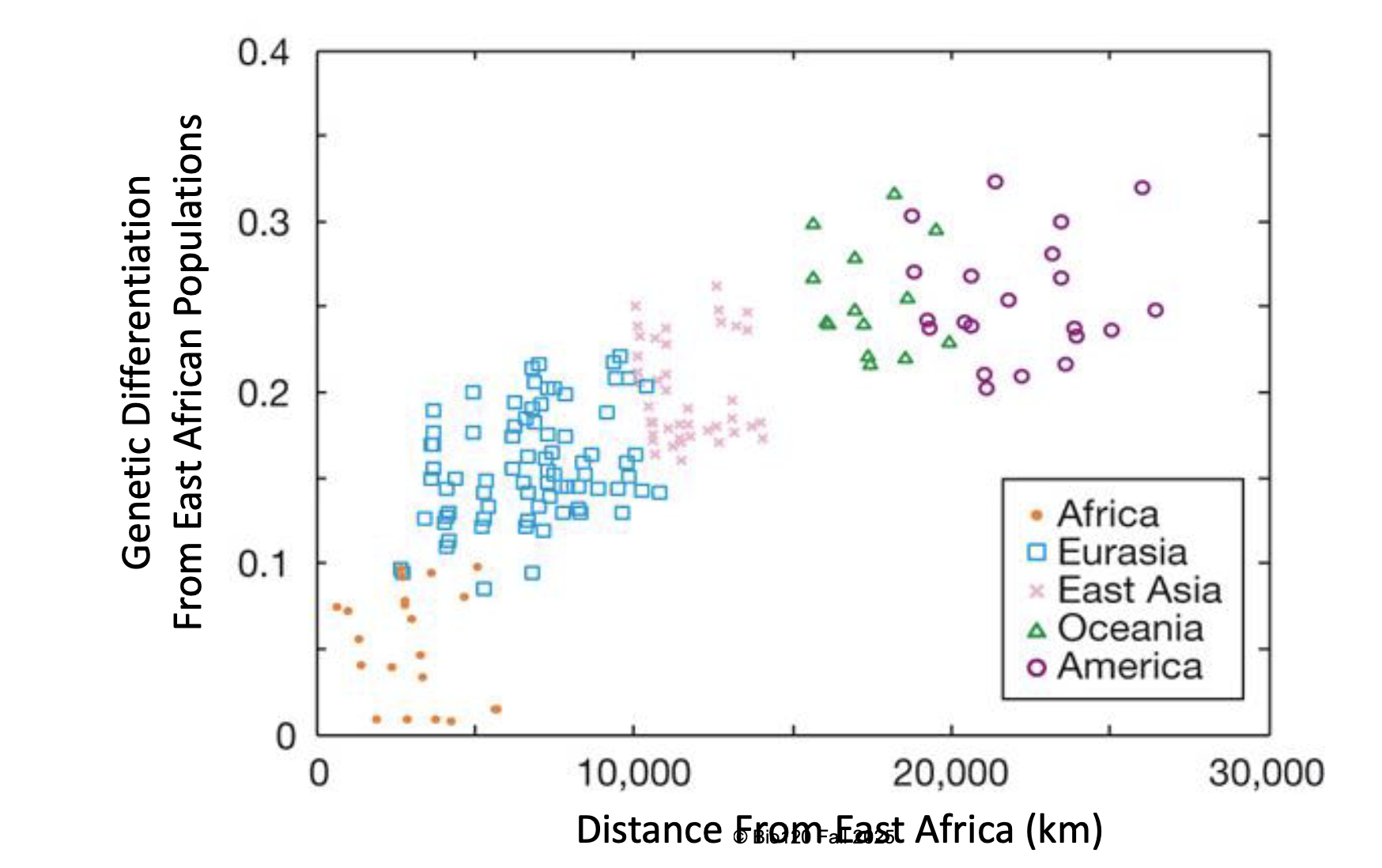 <ul><li><p>lower gene flow with increasing distance</p></li><li><p><strong>isolation by distance </strong>= accumulation of local genetic variation due to geographically limited dispersal</p></li></ul><p></p>