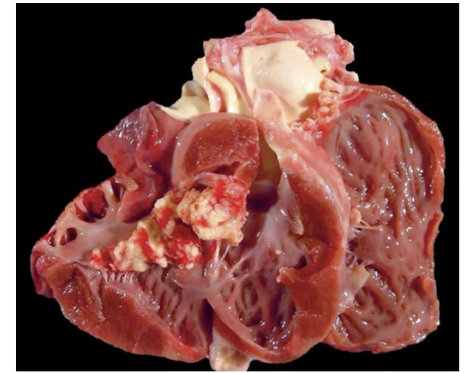 <p>what is this?</p>