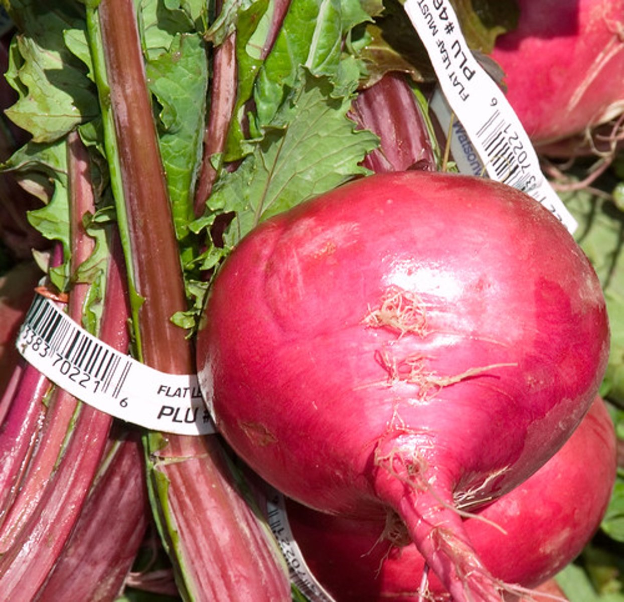 <p>red beets</p>