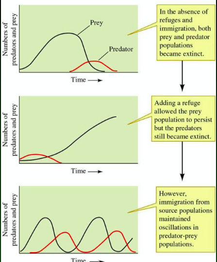 <p>need refuge to escape predation and reduce competition. (living in large group)</p>