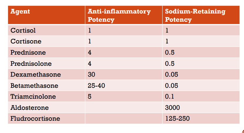 <p>Agent Table</p>