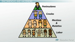 Descendants of Spanish-born but born in Latin America; resented inferior social, political, economic status.
