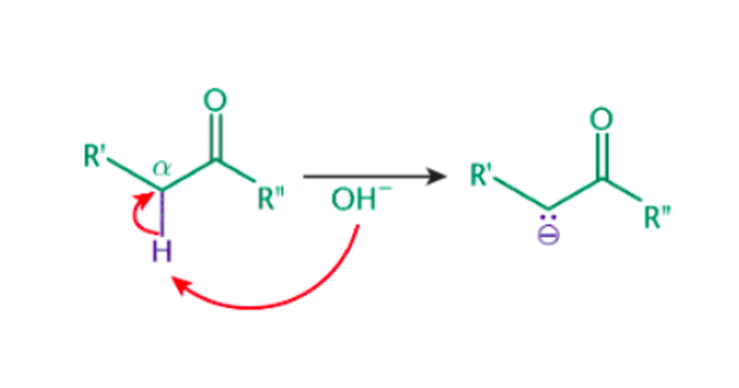 <p>The removal of a hydrogen cation (H+) from a molecule</p>