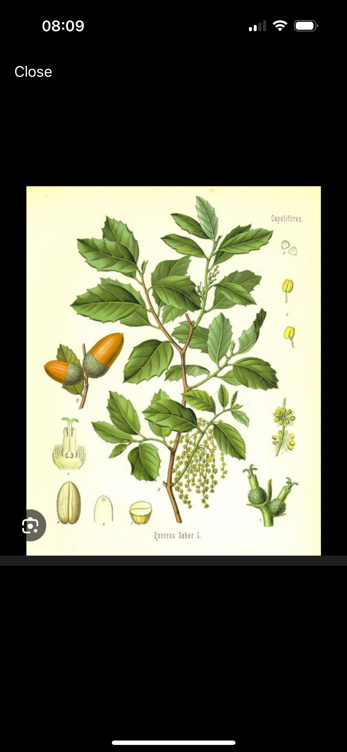 knowt flashcard image